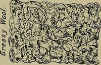 Picture 27 of 93 from Textiles (1910), leaf 141