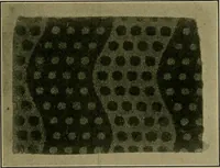 An illustration from Textiles (1910)