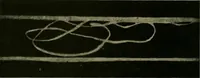 An illustration from Textiles (1910)