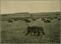 Picture 91 of 93 from Textiles (1910), leaf 373