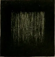 An illustration from Textiles (1910)