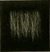 An illustration from Textiles (1910)