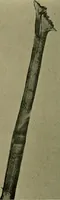 Picture 9 of 93 from Textiles (1910), leaf 71