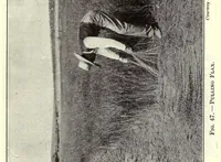 Picture 7 of 8 from Textiles and clothing (1919), leaf 119