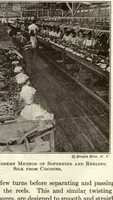 Picture 8 of 8 from Textiles and clothing (1919), leaf 178