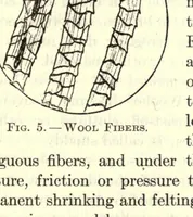 Picture 1 of 8 from Textiles and clothing (1919), leaf 25