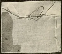 An illustration from Textiles and clothing, by Kate Heintz Watson.. (1907)