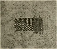 Picture 93 of 107 from Textiles and clothing, by Kate Heintz Watson.. (1907), leaf 176