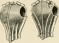 Picture 101 of 107 from Textiles and clothing, by Kate Heintz Watson.. (1907), leaf 212