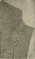 An illustration from Textiles and clothing, by Kate Heintz Watson.. (1907)