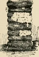 Picture 31 of 107 from Textiles and clothing, by Kate Heintz Watson.. (1907), leaf 50