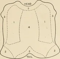 Picture 39 of 107 from Textiles and clothing, by Kate Heintz Watson.. (1907), leaf 56