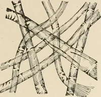Picture 45 of 107 from Textiles and clothing, by Kate Heintz Watson.. (1907), leaf 62