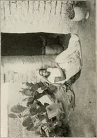 An illustration from Textiles and clothing, by Kate Heintz Watson (1914)