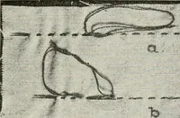 An illustration from Textiles and clothing, by Kate Heintz Watson (1914)