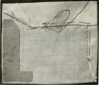 An illustration from Textiles and clothing, by Kate Heintz Watson (1914)