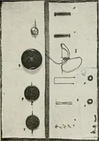 An illustration from Textiles and clothing, by Kate Heintz Watson (1914)