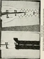 An illustration from Textiles and clothing, by Kate Heintz Watson (1914)