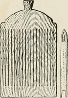 An illustration from Textiles and clothing, by Kate Heintz Watson (1914)