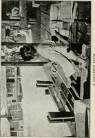An illustration from Textiles and clothing, by Kate Heintz Watson (1914)