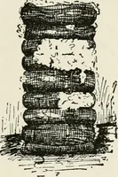 An illustration from Textiles and clothing, by Kate Heintz Watson (1914)