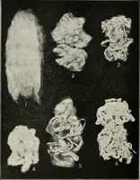 An illustration from Textiles and clothing, by Kate Heintz Watson (1914)