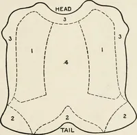 Picture 38 of 105 from Textiles and clothing, by Kate Heintz Watson (1914), leaf 56