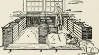 An illustration from Textiles and clothing, by Kate Heintz Watson (1914)