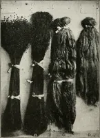 An illustration from Textiles and clothing, by Kate Heintz Watson (1914)