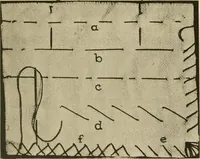 An illustration from Textiles and clothing (1910)
