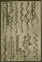 An illustration from Textiles and clothing (1910)