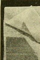 An illustration from Textiles and clothing (1910)