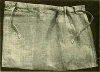 An illustration from Textiles and clothing (1910)