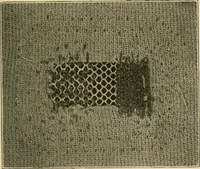 An illustration from Textiles and clothing (1910)