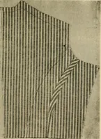 An illustration from Textiles and clothing (1910)