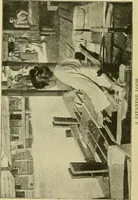 An illustration from Textiles and clothing (1910)