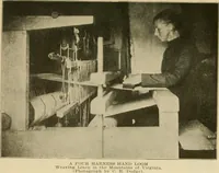 An illustration from Textiles and clothing (1910)