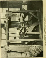 An illustration from Textiles and clothing (1910)