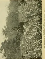An illustration from Textiles and clothing (1910)