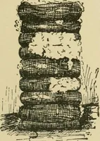 An illustration from Textiles and clothing (1910)