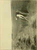 An illustration from Textiles and clothing (1910)
