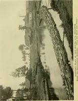 An illustration from Textiles and clothing (1910)