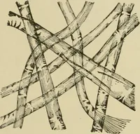 An illustration from Textiles and clothing (1910)