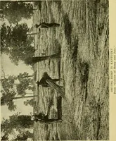 An illustration from Textiles and clothing (1910)