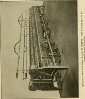 An illustration from Textiles and clothing (1910)