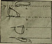 An illustration from Textiles and clothing (1907)
