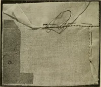 An illustration from Textiles and clothing (1907)
