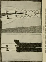 An illustration from Textiles and clothing (1907)