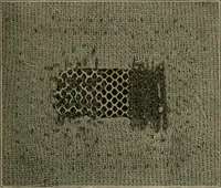 An illustration from Textiles and clothing (1907)