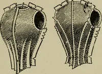 An illustration from Textiles and clothing (1907)